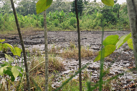 ChevronTexaco waste pit, Shushufindi, Ecuador