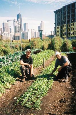 urban farm