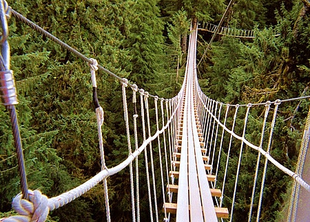 rope bridge