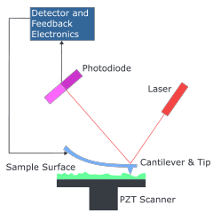 atomic force microscope diagram